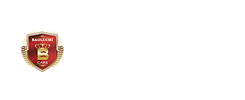 保路驰汽车
