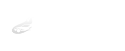 沈阳租车网