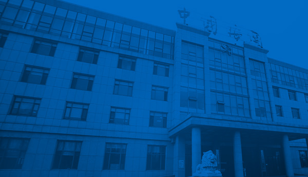 机场海关网站建设